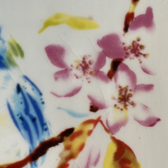 Pier 1 Bird Plates - Picture 7 of 15